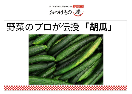 野菜のプロが伝授！胡瓜編