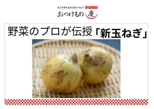 「プロが伝授！」【新玉ねぎ編】