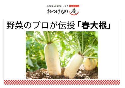 野菜のプロが伝授！大根編