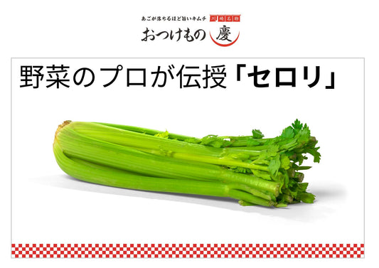 野菜のプロが伝授！セロリ編